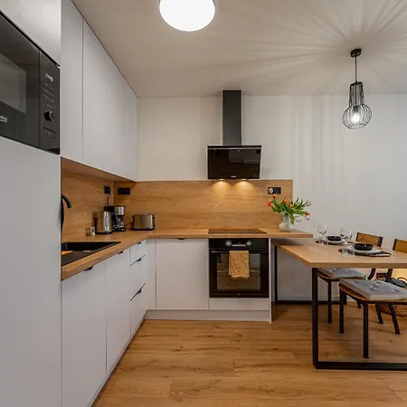 Uplne Novy Pri Auparku, Center Pre 4 Osoby Апартаменты Кошице